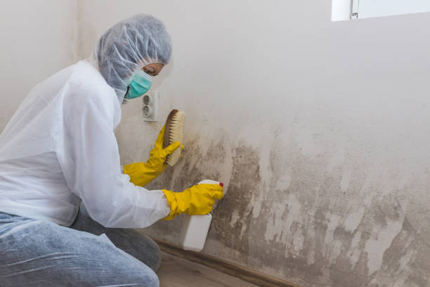 Best Commercial Mold Removal  in Fond Du Lac, WI
