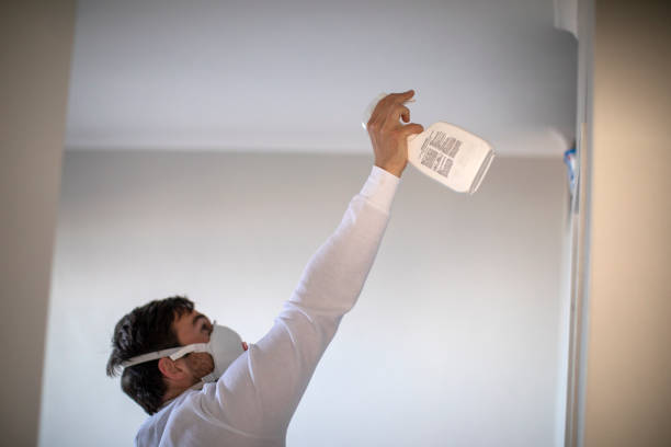 Best Home Mold Removal  in Fond Du Lac, WI
