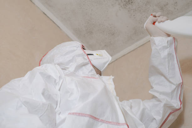 Best Mold Removal Company Near Me  in Fond Du Lac, WI