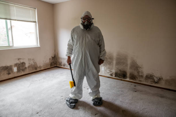 Mold Removal and Inspection in Fond Du Lac, WI