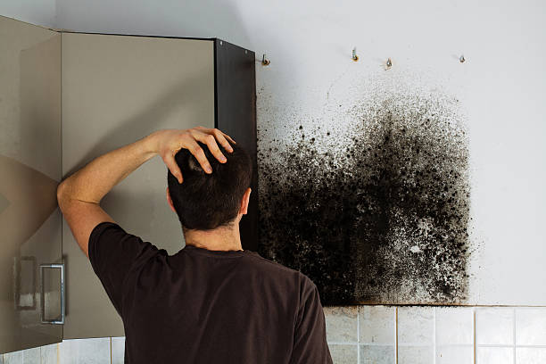 Best Mold Testing  in Fond Du Lac, WI